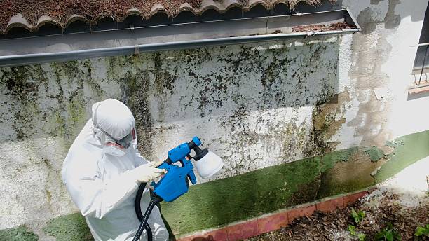 Top rated local Commercial Mold Remediation specialists in Newport, TN